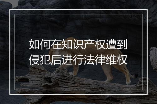 如何在知识产权遭到侵犯后进行法律维权