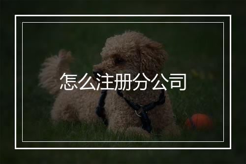 怎么注册分公司