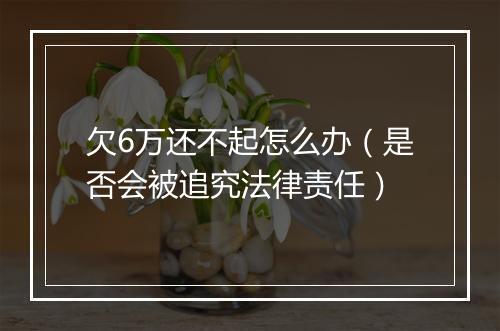 欠6万还不起怎么办(是否会被追究法律责任)