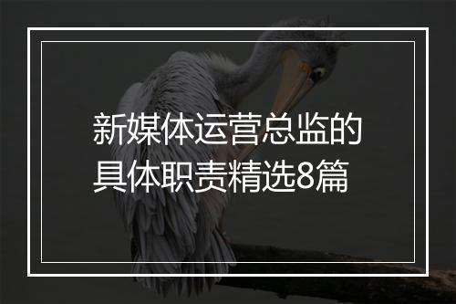 新媒体运营总监的具体职责精选8篇