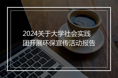 2024关于大学社会实践团开展环保宣传活动报告