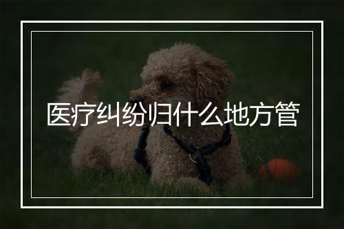 医疗纠纷归什么地方管