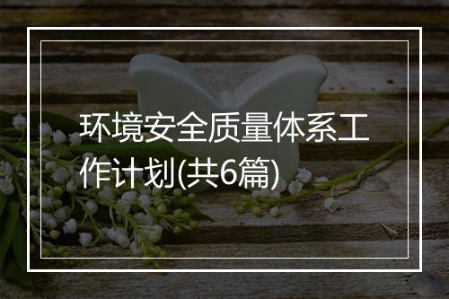 环境安全质量体系工作计划(共6篇)