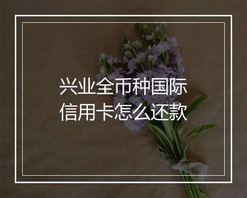 兴业全币种国际信用卡怎么还款
