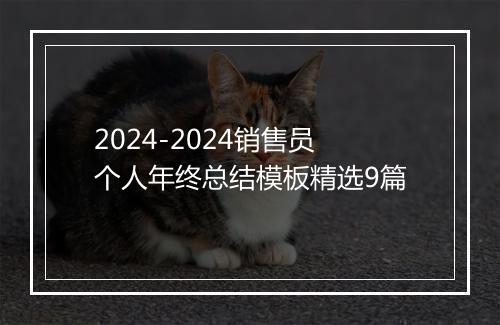 2024-2024销售员个人年终总结模板精选9篇