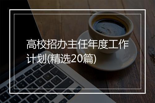 高校招办主任年度工作计划(精选20篇)