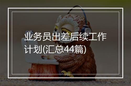 业务员出差后续工作计划(汇总44篇)