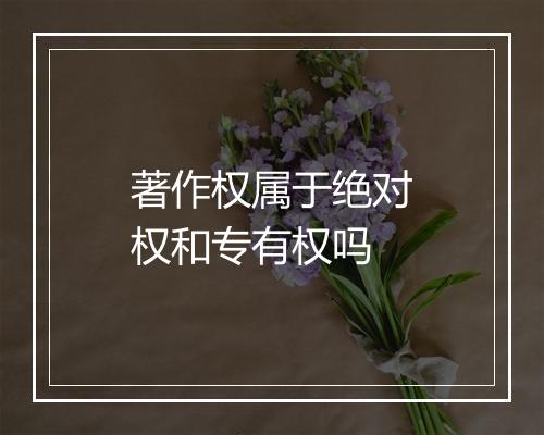 著作权属于绝对权和专有权吗