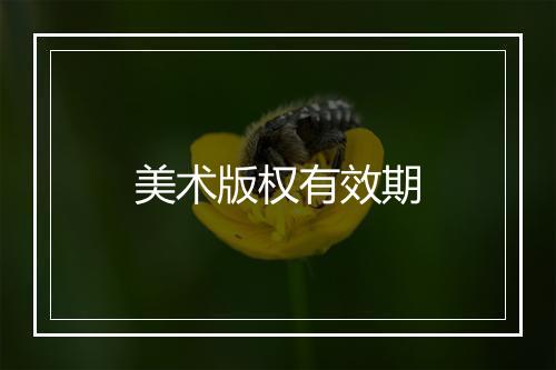 美术版权有效期