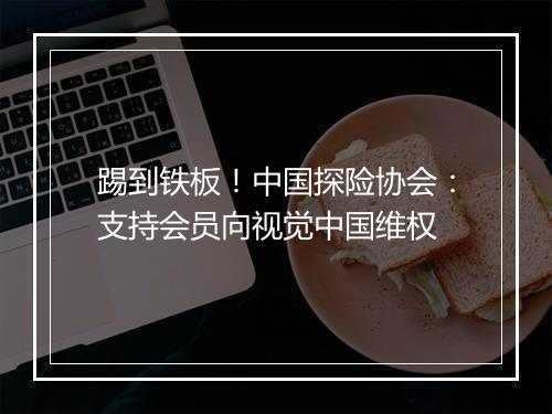 踢到铁板!中国探险协会:支持会员向视觉中国维权