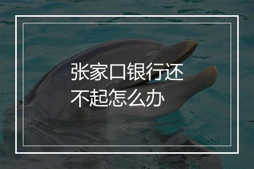 张家口银行还不起怎么办