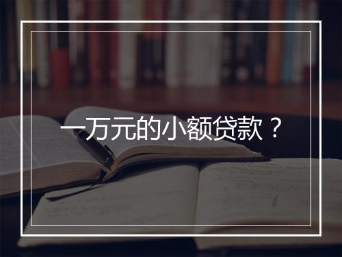 一万元的小额贷款?
