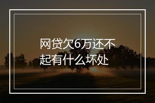 网贷欠6万还不起有什么坏处