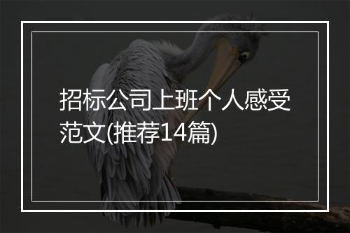 招标公司上班个人感受范文(推荐14篇)