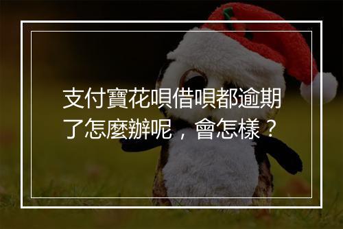 支付寶花唄借唄都逾期了怎麼辦呢,會怎樣?