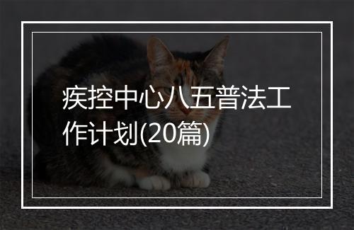 疾控中心八五普法工作计划(20篇)