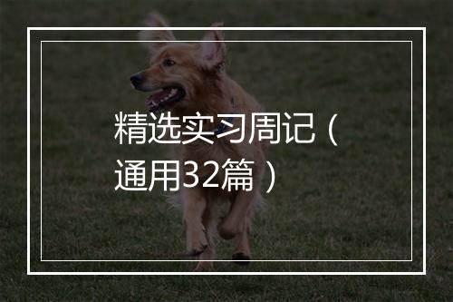 精选实习周记(通用32篇)