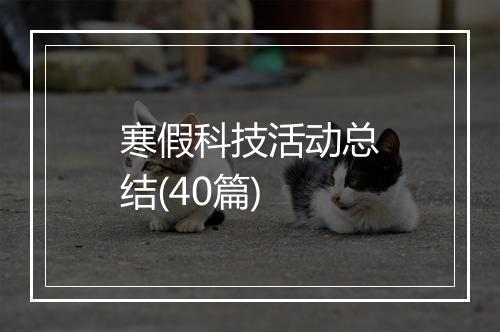 寒假科技活动总结(40篇)