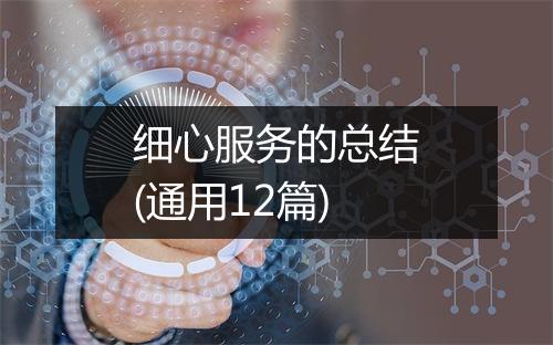 细心服务的总结(通用12篇)