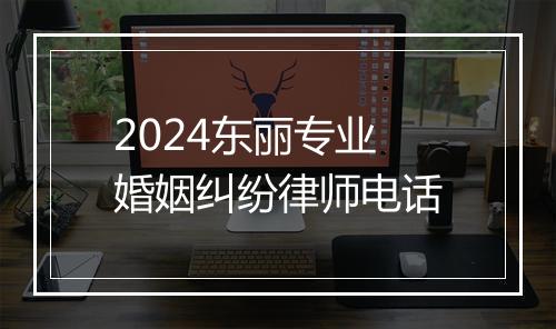 2024东丽专业婚姻纠纷律师电话