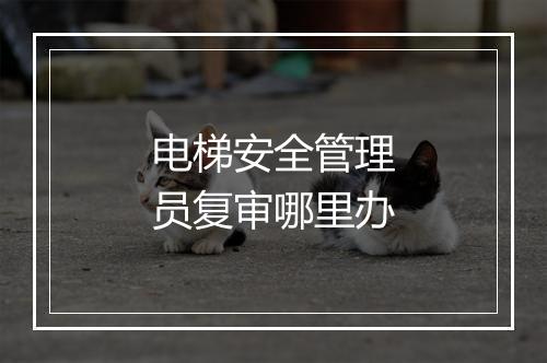 电梯安全管理员复审哪里办