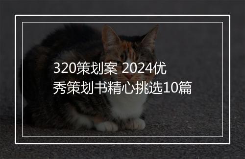 320策划案 2024优秀策划书精心挑选10篇