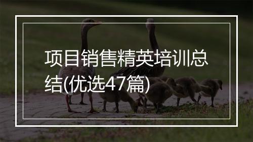 项目销售精英培训总结(优选47篇)