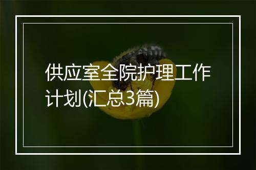 供应室全院护理工作计划(汇总3篇)