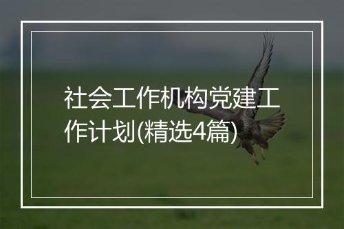 社会工作机构党建工作计划(精选4篇)