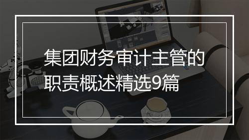 集团财务审计主管的职责概述精选9篇
