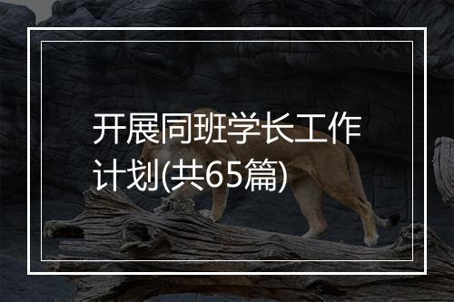 开展同班学长工作计划(共65篇)