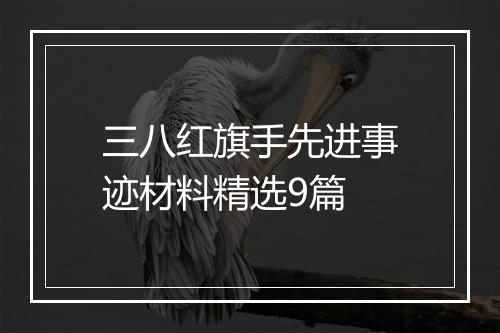 三八红旗手先进事迹材料精选9篇