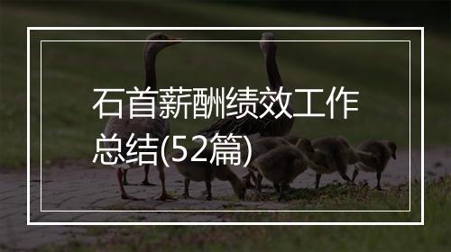 石首薪酬绩效工作总结(52篇)