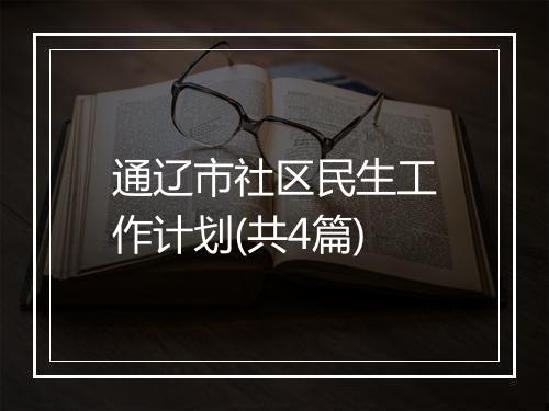 通辽市社区民生工作计划(共4篇)