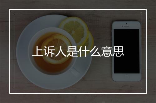 上诉人是什么意思
