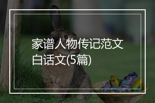 家谱人物传记范文白话文(5篇)