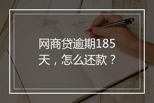 网商贷逾期185天,怎么还款?