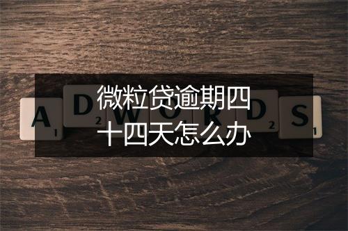 微粒贷逾期四十四天怎么办