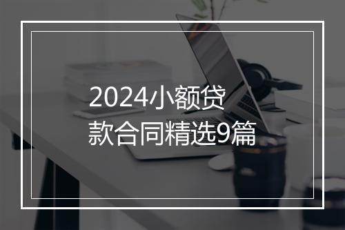 2024小额贷款合同精选9篇
