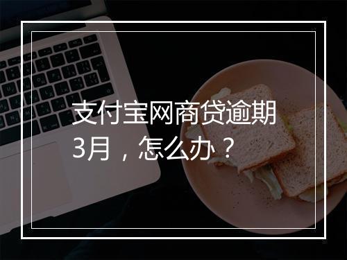 支付宝网商贷逾期3月,怎么办?