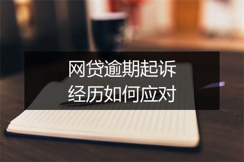 网贷逾期起诉经历如何应对