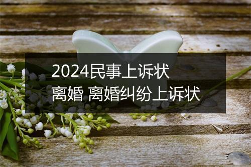 2024民事上诉状 离婚 离婚纠纷上诉状