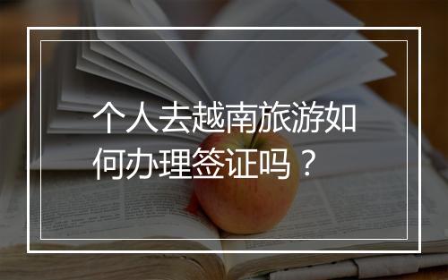 个人去越南旅游如何办理签证吗?