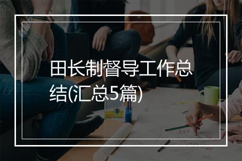 田长制督导工作总结(汇总5篇)
