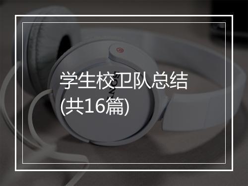 学生校卫队总结(共16篇)