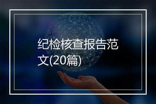 纪检核查报告范文(20篇)