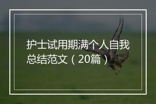护士试用期满个人自我总结范文(20篇)