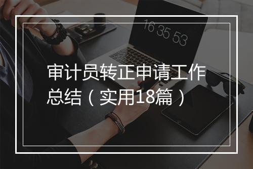 审计员转正申请工作总结(实用18篇)