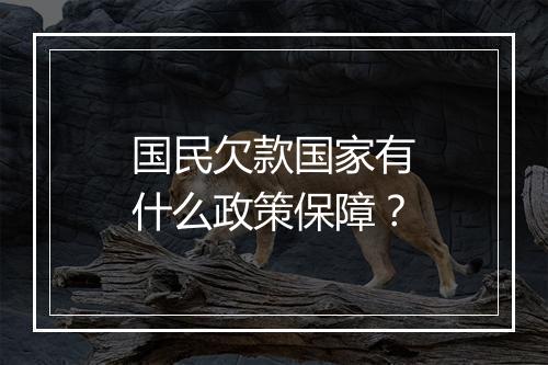 国民欠款国家有什么政策保障?
