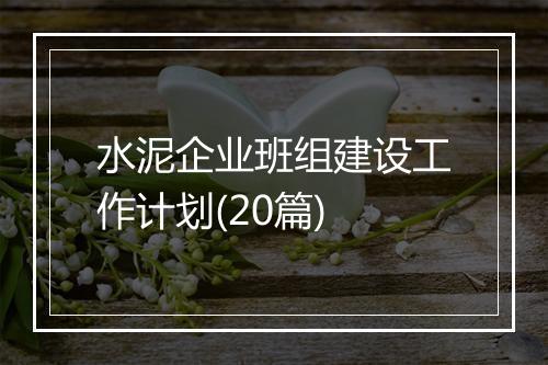 水泥企业班组建设工作计划(20篇)